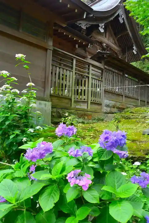 瀬戸神社(神奈川県)