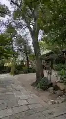 堀越神社(大阪府)