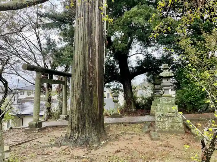 菅原神社の{uncategorized: "未分類", other: "その他", undefined: "問題あり", building: "その他建物", grave: "お墓", sacred_gate: "鳥居", guardian: "狛犬", statue: "像", buddha: "仏像", history: "歴史", nature: "自然", garden: "庭園", animal: "動物", pagoda: "塔", temizu: "手水舎", mountain_gate: "山門・神門", sanctuary: "本殿・本堂", subordinate: "末社・摂社", art: "芸術", scenery: "景色", jizo: "地蔵", ema: "絵馬", goshuin: "御朱印", omikuji: "おみくじ", items: "授与品その他", amulet: "お守り", goshuincho: "御朱印帳", eats: "食事", festival: "お祭り", votive_dance: "神楽", shichigosan: "七五三参", wedding: "結婚式", experience: "体験その他", initially: "初詣", around: "周辺", anti_infection: "感染症対策"}