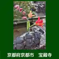 宝蔵寺(京都府)