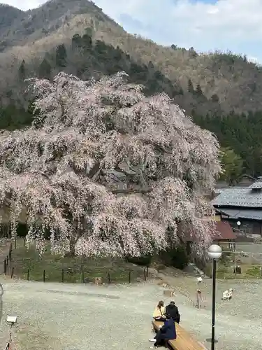 妙祐寺(福井県)