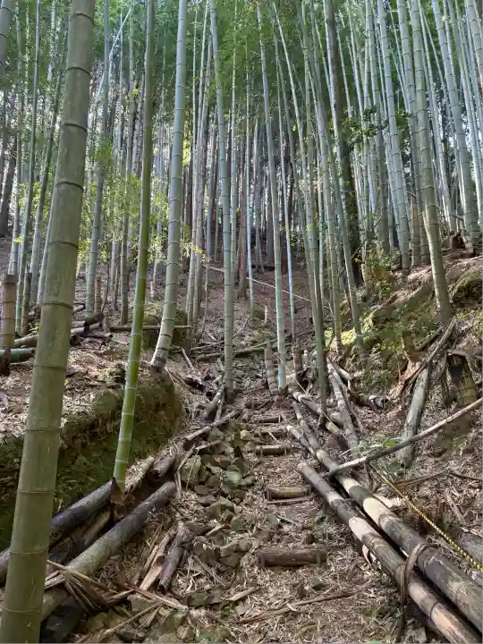 鳴滝奥の院(徳島県)