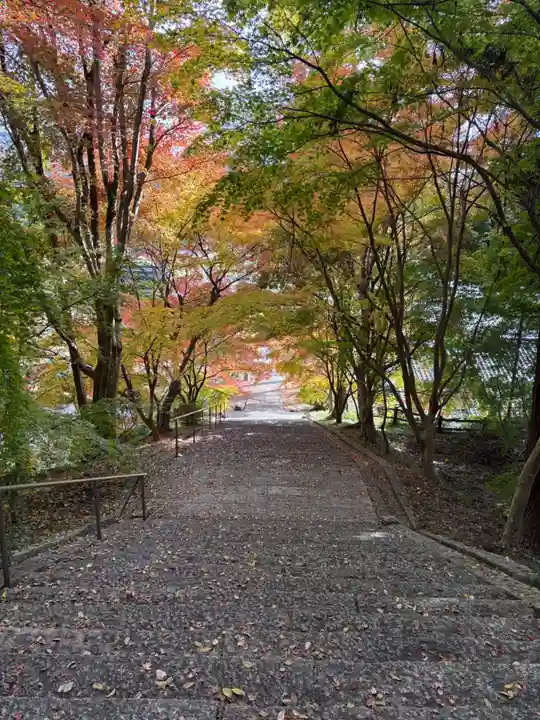 安国寺(京都府)