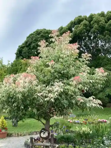 常楽寺の庭園