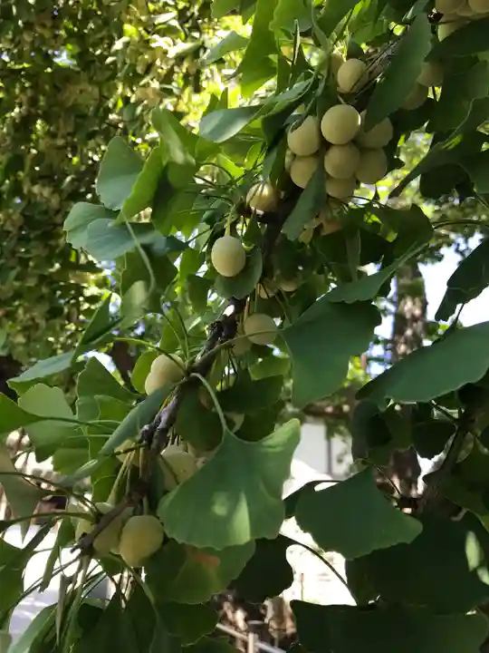 豊受神社の自然
