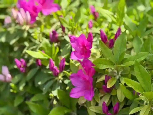 西方山極楽寺(岐阜県)