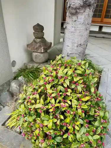 龍光寺の{uncategorized: "未分類", other: "その他", undefined: "問題あり", building: "その他建物", grave: "お墓", sacred_gate: "鳥居", guardian: "狛犬", statue: "像", buddha: "仏像", history: "歴史", nature: "自然", garden: "庭園", animal: "動物", pagoda: "塔", temizu: "手水舎", mountain_gate: "山門・神門", sanctuary: "本殿・本堂", subordinate: "末社・摂社", art: "芸術", scenery: "景色", jizo: "地蔵", ema: "絵馬", goshuin: "御朱印", omikuji: "おみくじ", items: "授与品その他", amulet: "お守り", goshuincho: "御朱印帳", eats: "食事", festival: "お祭り", votive_dance: "神楽", shichigosan: "七五三参", wedding: "結婚式", experience: "体験その他", initially: "初詣", around: "周辺", anti_infection: "感染症対策"}