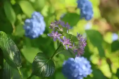 陽林寺(福島県)
