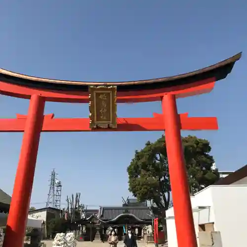 姫嶋神社の鳥居