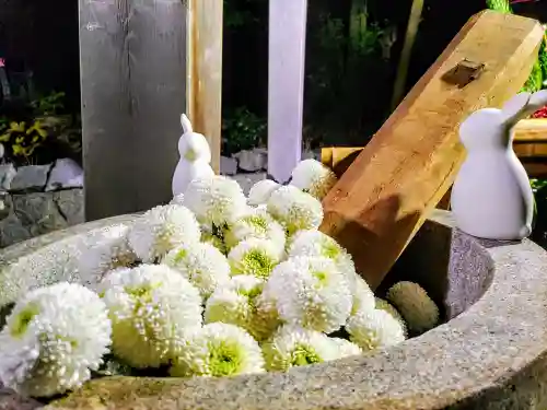 東海市熊野神社の手水舎