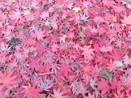 上川神社頓宮の自然
