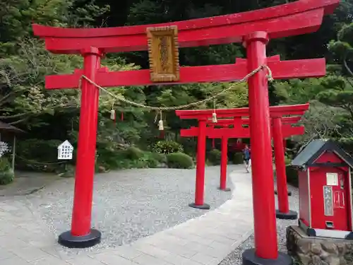 白龍稲荷大神(大分県)