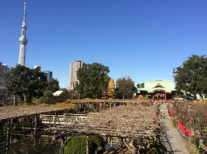 亀戸天神社(東京都)