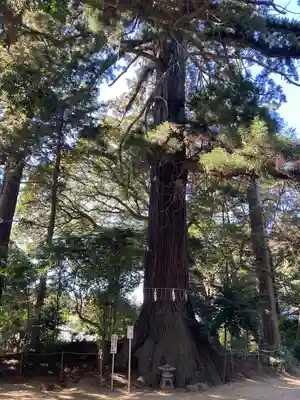 側高神社(千葉県)