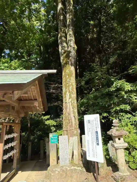 伊野天照皇大神宮の{uncategorized: "未分類", other: "その他", undefined: "問題あり", building: "その他建物", grave: "お墓", sacred_gate: "鳥居", guardian: "狛犬", statue: "像", buddha: "仏像", history: "歴史", nature: "自然", garden: "庭園", animal: "動物", pagoda: "塔", temizu: "手水舎", mountain_gate: "山門・神門", sanctuary: "本殿・本堂", subordinate: "末社・摂社", art: "芸術", scenery: "景色", jizo: "地蔵", ema: "絵馬", goshuin: "御朱印", omikuji: "おみくじ", items: "授与品その他", amulet: "お守り", goshuincho: "御朱印帳", eats: "食事", festival: "お祭り", votive_dance: "神楽", shichigosan: "七五三参", wedding: "結婚式", experience: "体験その他", initially: "初詣", around: "周辺", anti_infection: "感染症対策"}