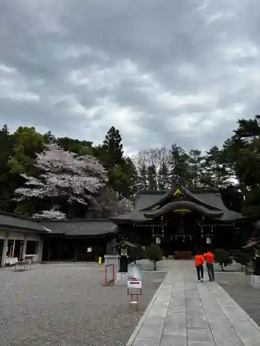 進雄神社の{uncategorized: "未分類", other: "その他", undefined: "問題あり", building: "その他建物", grave: "お墓", sacred_gate: "鳥居", guardian: "狛犬", statue: "像", buddha: "仏像", history: "歴史", nature: "自然", garden: "庭園", animal: "動物", pagoda: "塔", temizu: "手水舎", mountain_gate: "山門・神門", sanctuary: "本殿・本堂", subordinate: "末社・摂社", art: "芸術", scenery: "景色", jizo: "地蔵", ema: "絵馬", goshuin: "御朱印", omikuji: "おみくじ", items: "授与品その他", amulet: "お守り", goshuincho: "御朱印帳", eats: "食事", festival: "お祭り", votive_dance: "神楽", shichigosan: "七五三参", wedding: "結婚式", experience: "体験その他", initially: "初詣", around: "周辺", anti_infection: "感染症対策"}