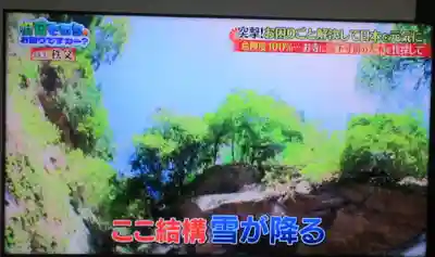 観音院(埼玉県)