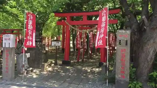 於菊稲荷神社の鳥居