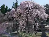 南湖神社の{uncategorized: "未分類", other: "その他", undefined: "問題あり", building: "その他建物", grave: "お墓", sacred_gate: "鳥居", guardian: "狛犬", statue: "像", buddha: "仏像", history: "歴史", nature: "自然", garden: "庭園", animal: "動物", pagoda: "塔", temizu: "手水舎", mountain_gate: "山門・神門", sanctuary: "本殿・本堂", subordinate: "末社・摂社", art: "芸術", scenery: "景色", jizo: "地蔵", ema: "絵馬", goshuin: "御朱印", omikuji: "おみくじ", items: "授与品その他", amulet: "お守り", goshuincho: "御朱印帳", eats: "食事", festival: "お祭り", votive_dance: "神楽", shichigosan: "七五三参", wedding: "結婚式", experience: "体験その他", initially: "初詣", around: "周辺", anti_infection: "感染症対策"}