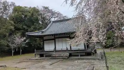 醍醐寺(京都府)