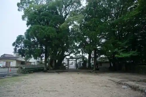 補陀洛山寺の自然