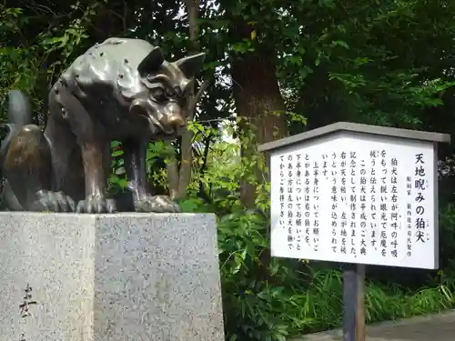 稲毛神社の狛犬