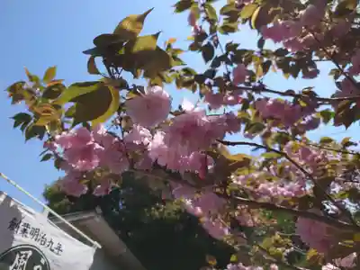 住吉大社(大阪府)