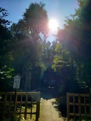 白金氷川神社の末社