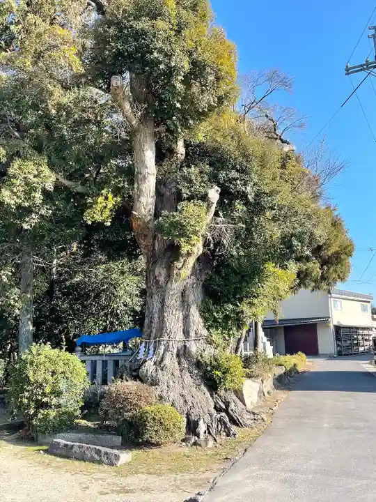 八幡神社(滋賀県)