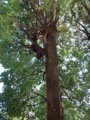 横浜　西方寺のその他建物