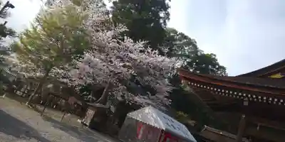 出雲大神宮のその他建物
