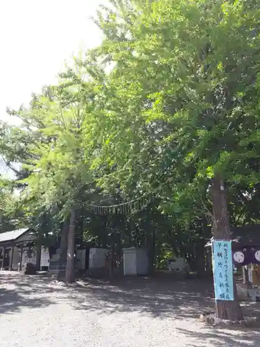 星置神社の自然