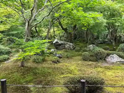 圓光寺(京都府)