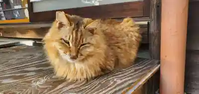 神館神社(三重県)