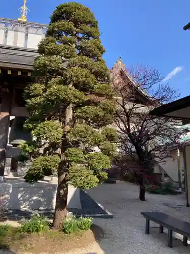 勝楽寺(東京都)