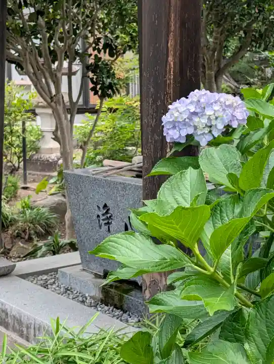 西光寺(山梨県)