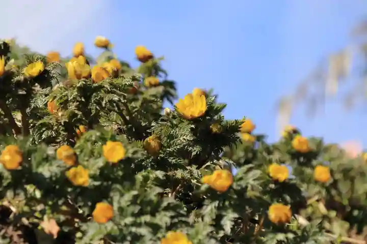 正観音堂の自然