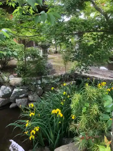 宝珠院の{uncategorized: "未分類", other: "その他", undefined: "問題あり", building: "その他建物", grave: "お墓", sacred_gate: "鳥居", guardian: "狛犬", statue: "像", buddha: "仏像", history: "歴史", nature: "自然", garden: "庭園", animal: "動物", pagoda: "塔", temizu: "手水舎", mountain_gate: "山門・神門", sanctuary: "本殿・本堂", subordinate: "末社・摂社", art: "芸術", scenery: "景色", jizo: "地蔵", ema: "絵馬", goshuin: "御朱印", omikuji: "おみくじ", items: "授与品その他", amulet: "お守り", goshuincho: "御朱印帳", eats: "食事", festival: "お祭り", votive_dance: "神楽", shichigosan: "七五三参", wedding: "結婚式", experience: "体験その他", initially: "初詣", around: "周辺", anti_infection: "感染症対策"}