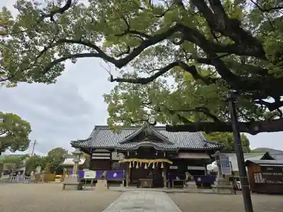 百舌鳥八幡宮(大阪府)