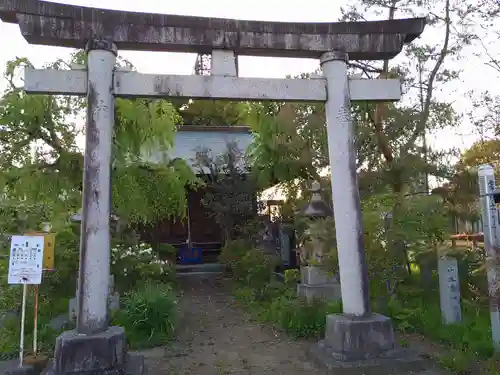 竹生島神社の鳥居