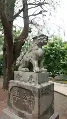 青山熊野神社の狛犬