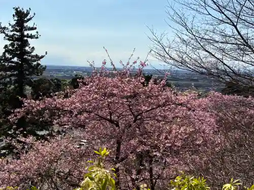 楽法寺（雨引観音）(茨城県)