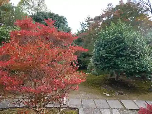 浄住寺(京都府)