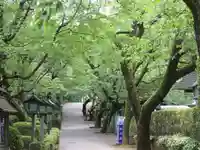 密藏院(埼玉県)