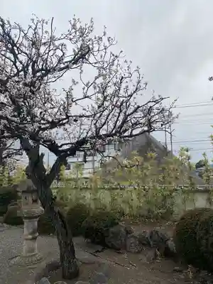 大法寺(神奈川県)
