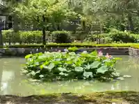 建仁寺(建仁禅寺)(京都府)