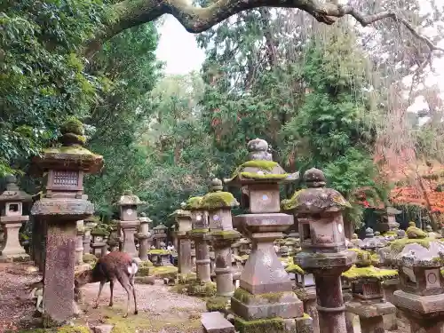 春日大社(奈良県)