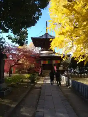 鑁阿寺(栃木県)