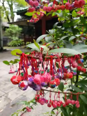 赤坂氷川神社(東京都)