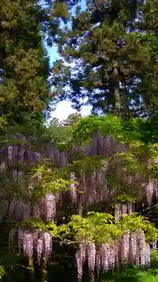 歌泉堂（春日大社神苑萬葉植物園内鎮座）(奈良県)